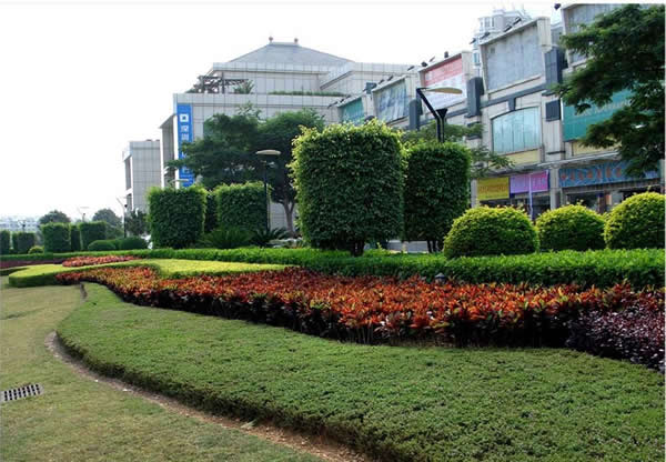 長沙園林養(yǎng)護(hù)